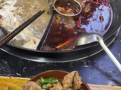 -乖嬢嬢重庆老火锅(南联店)