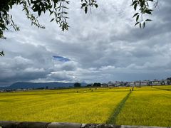 -喜林苑·稻田餐厅(品相府店)