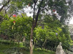 -广州市白云山风景名胜区