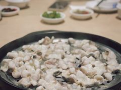 鲟龙鱼-渔乐里(智荟城店)