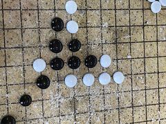 -道顺射箭·团建·骑射(张杨路店)