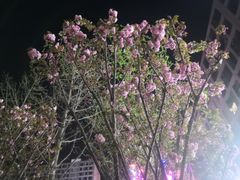 -英伦风情酒店(优博国际店)