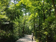 -紫金山山顶公园