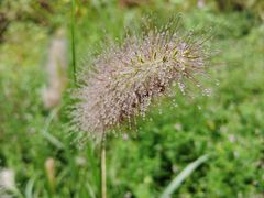 -荆州中山公园动物园