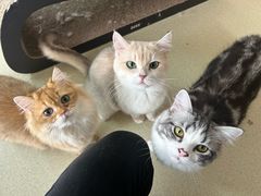 -大悦城(沈阳中街店)