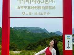 -王莽岭风景区