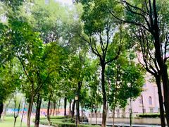 -重庆市江北嘴中央商务区中央公园