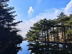 -黄山风景区