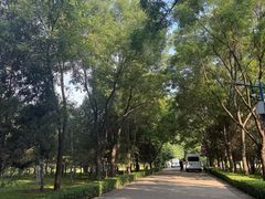 -森林公园(尖草坪区)