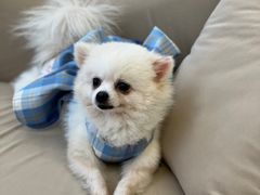 -怪兽屋·羊驼·猫咖·狗咖(俊华广场店)