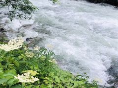 -硗碛藏寨·神木垒景区