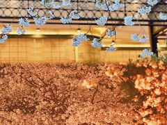 -玛格萝妮比萨屋(四平店)