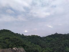-南山植物园