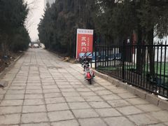 -中国中医科学院望京医院(院本部)