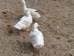 -HERRE·FARM 赫尔露营农场·团建聚会包场