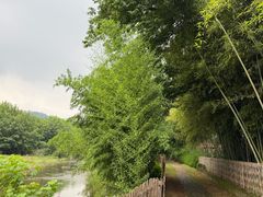 -江南荣村(小溪店)