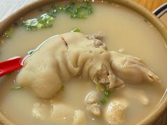 -张太婆老妈蹄花川菜馆·中华餐饮老字号(望平街店)