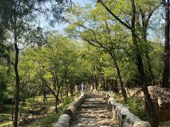 -阳台山自然风景区