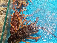 -徐记海鲜(观沙岭|滨江新城店)