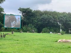 -广州长隆飞鸟乐园