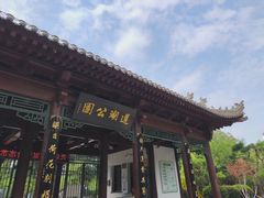 -莲湖公园
