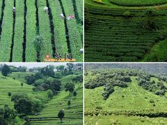 -英西峰林·洞天仙境