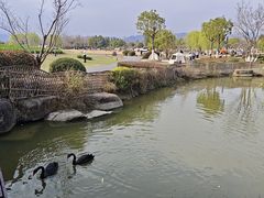 -径山花海