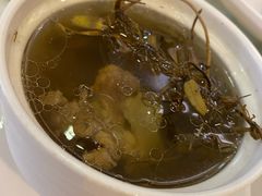 青橄榄炖龙骨汤-陆记鹅庄·潮汕菜·狮头鹅(大仟里店)