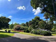 -墨尔本皇家植物园