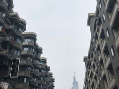 -紫峰大厦