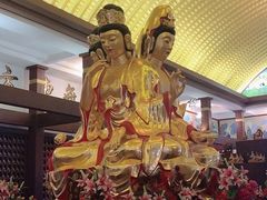 -龙口南山旅游景区
