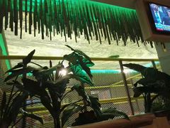 -御池园(顾村公园店)