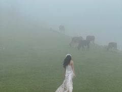 -大姆山草场