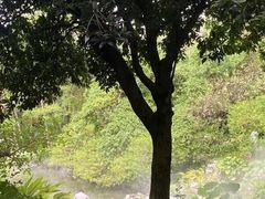 -柳侯公园