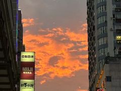 -循礼门鲜花花市(武汉循礼门店)