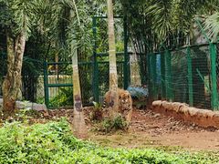 -海南热带野生动植物园