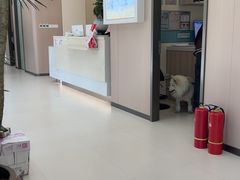 -虹泰宠物医院 ·旗舰店·24h(南秀路店)