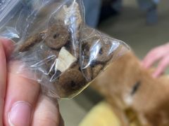 -逗柴咖啡屋·狗咖猫咖宠物桌游