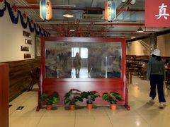 -第二外国语学院-韩国餐厅(朝阳路店)