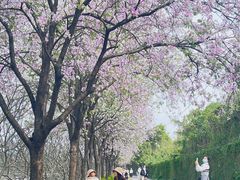 -南丰汇(新港东路店)