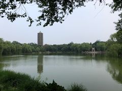 -鼎高高陕西美食(龙德广场店)