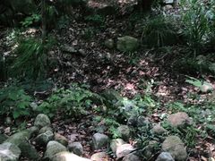 -武汉姚家山旅游景区