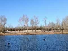 -东郊湿地公园