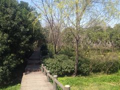 iphone_upload_pic-新江湾城公园
