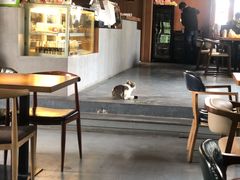 -IFIF 如果花園(宽厚里店)