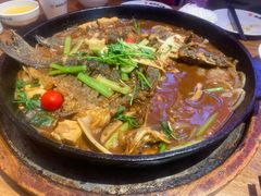 -老板恋上鱼(恒隆广场店)