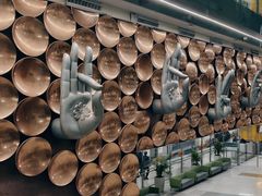 -英迪拉·甘地国际机场