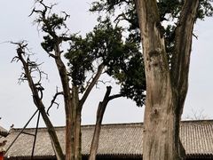 -韩城古城