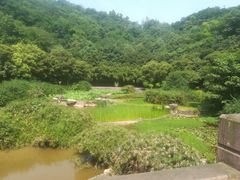 -重庆医科大学附属第一医院(金山院区)