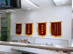 -爱侣宠医·鹦鹉专科·小型哺乳类·异宠专科(灵石路店)